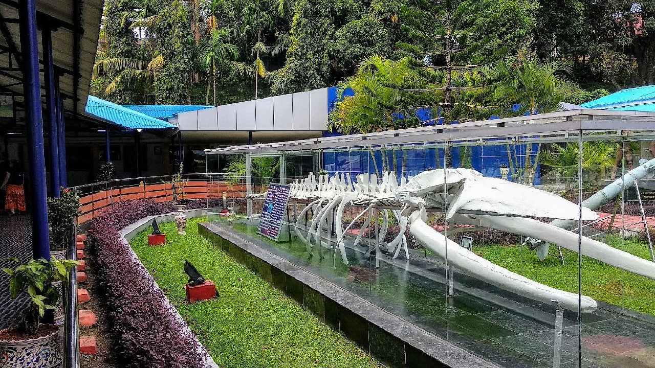 spa-3